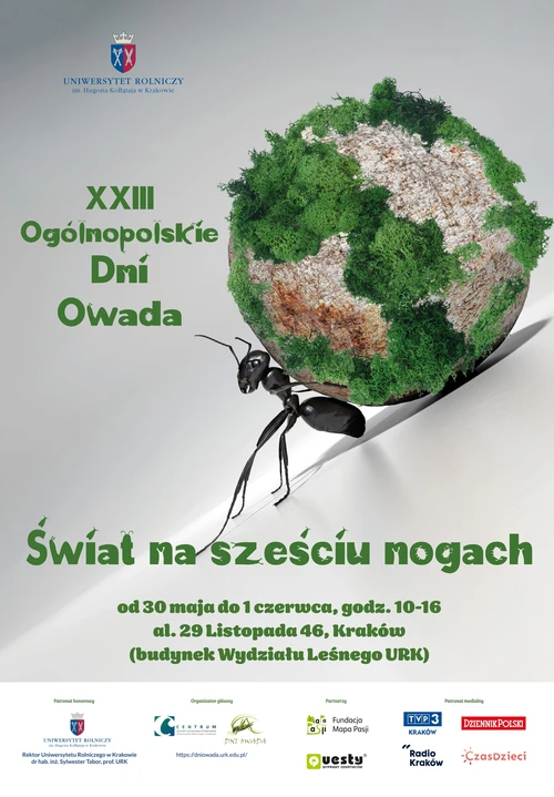 plakat promujący dni owada