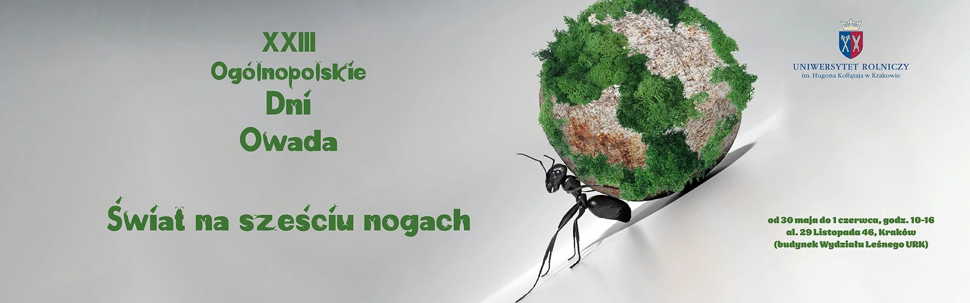 Dni Owada 2025 - plakat